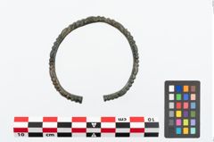 Foto von Bronzearmreif (NHMW-PRAE-025612)